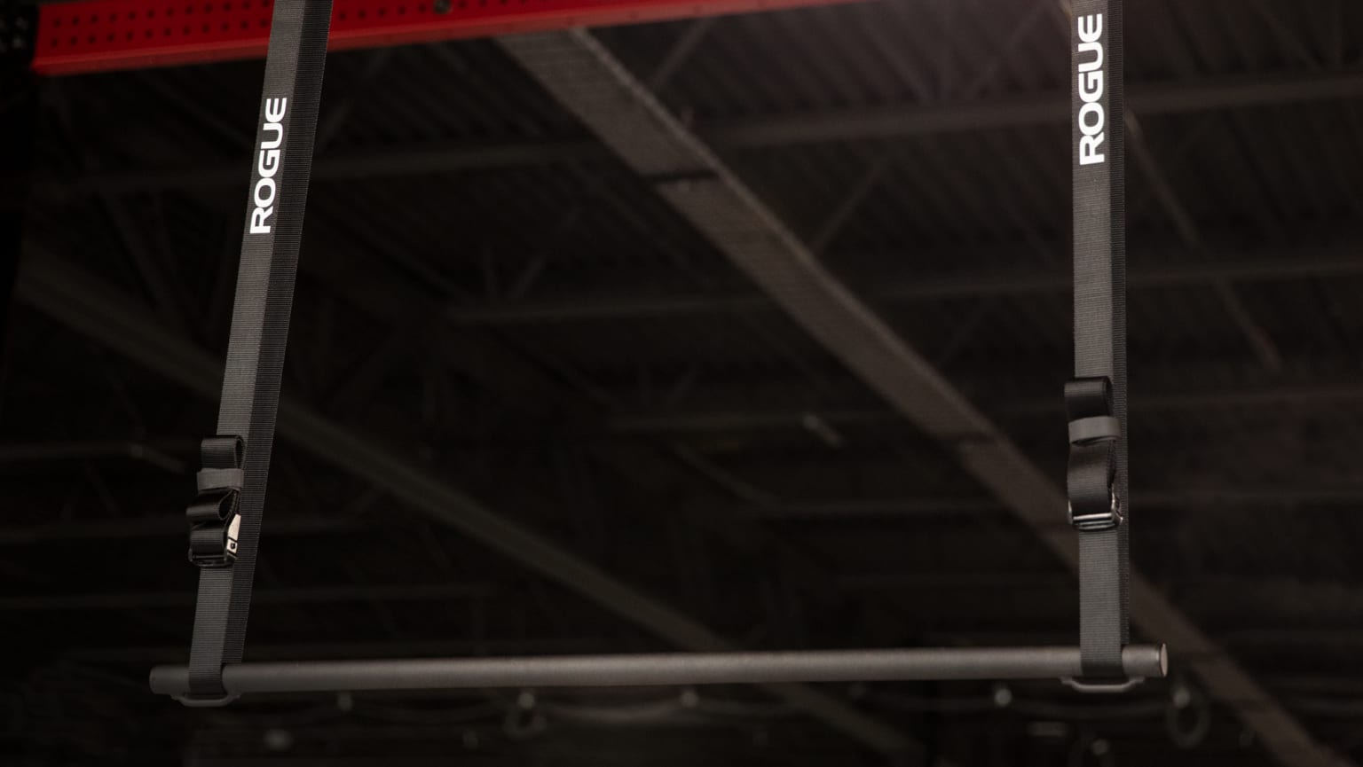 Rogue Individual Pullup System Bodyweight Training CrossFit Rogue Fitness